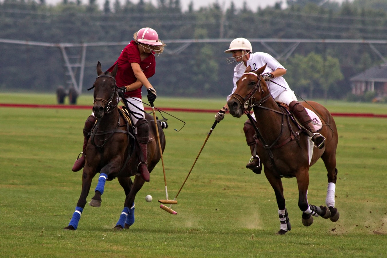 Nowa marka - U.S. POLO ASSN.