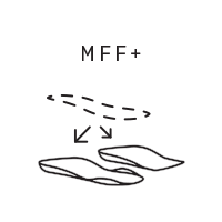 MFF+